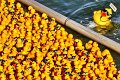 Maschseefest   540